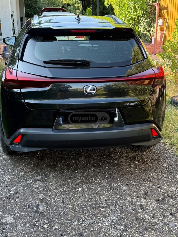 Lexus UX 250 h 2020 — photo 2
