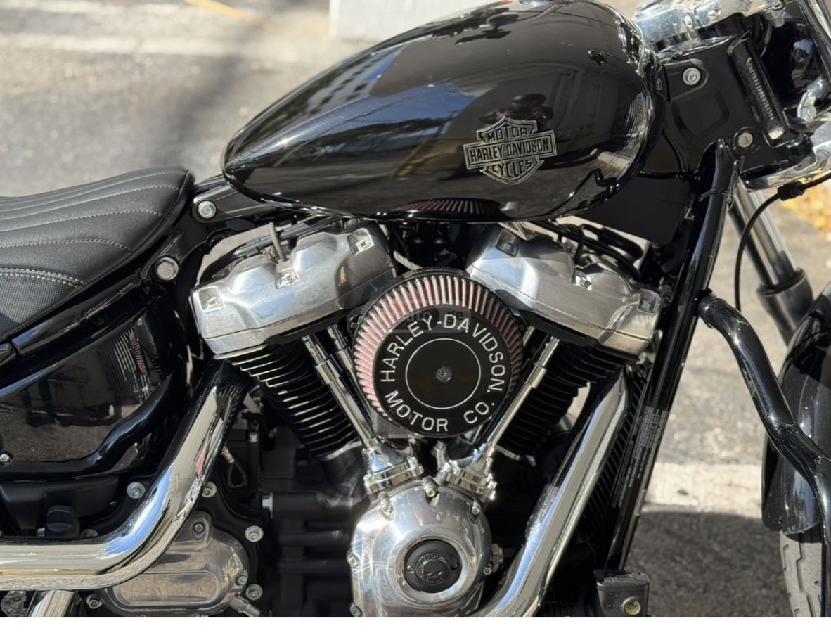 Harley-Davidson Softail Standard 2021 — photo 2