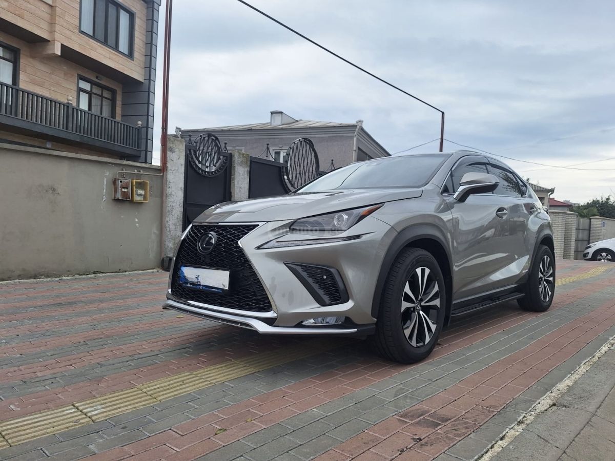 Lexus NX 300 2020 — photo 2