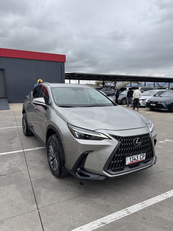 Lexus NX 250 2024 — photo 2