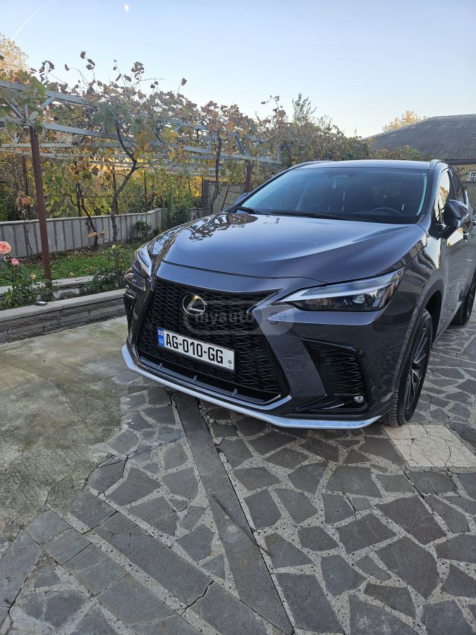 Lexus NX 250 2023 — photo 2