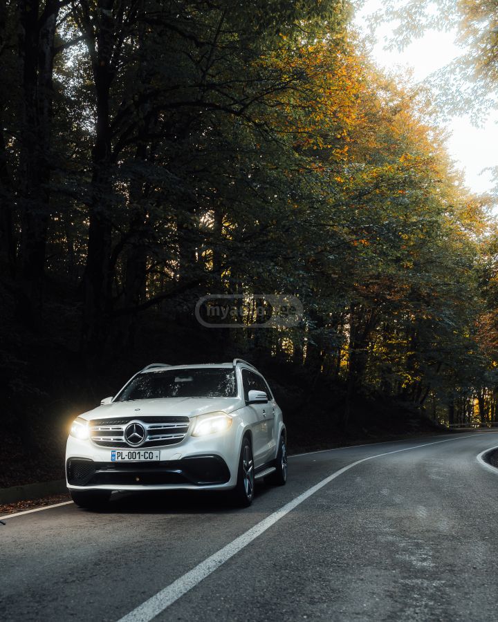 Mercedes-Benz GLS 550 2018 — photo 2