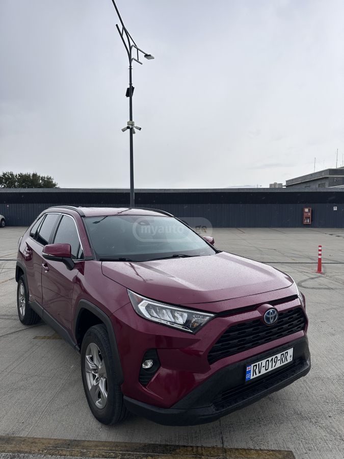 Toyota RAV4 2024 — photo 2