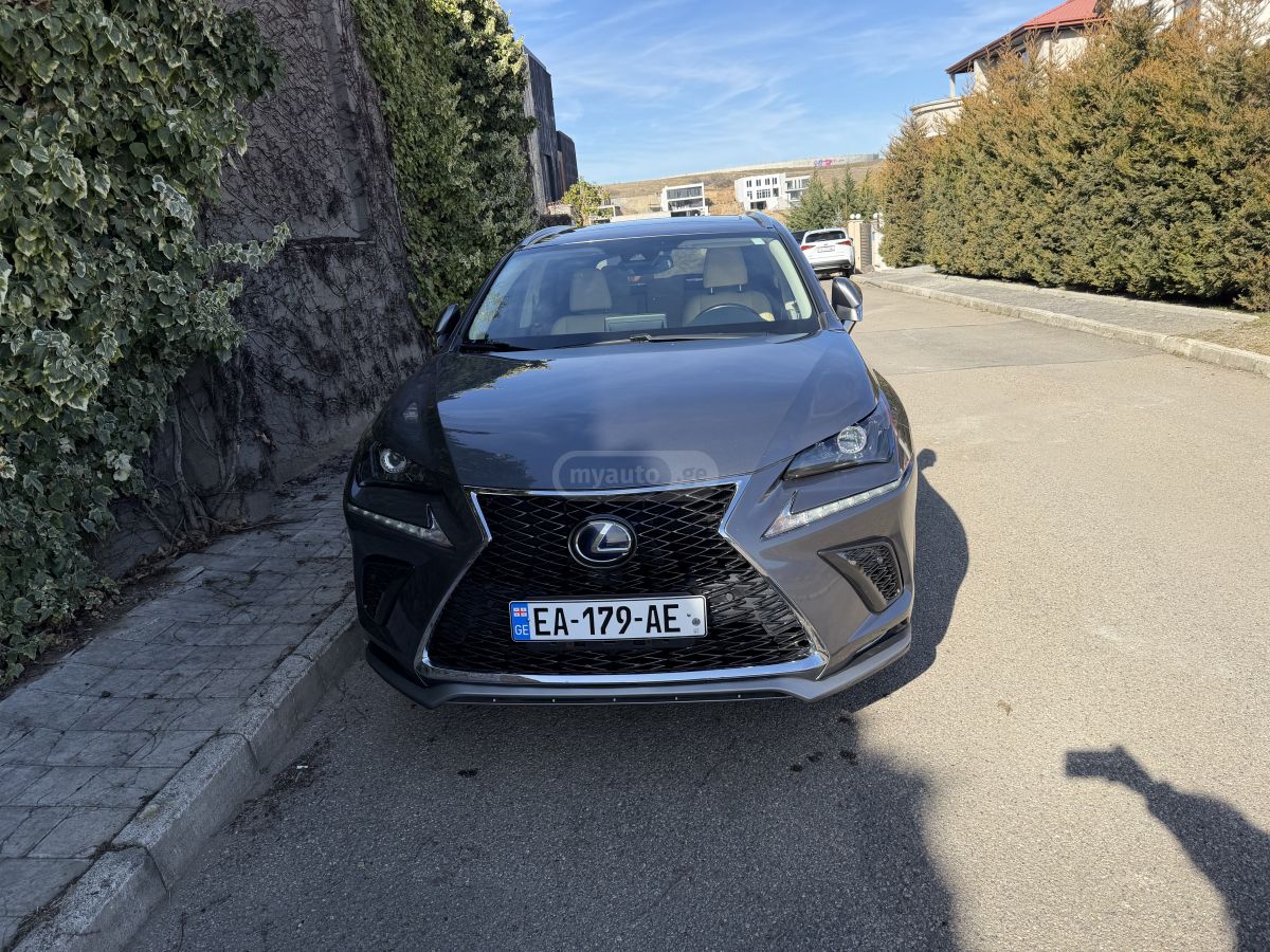 Lexus NX 300 2021 — photo 2
