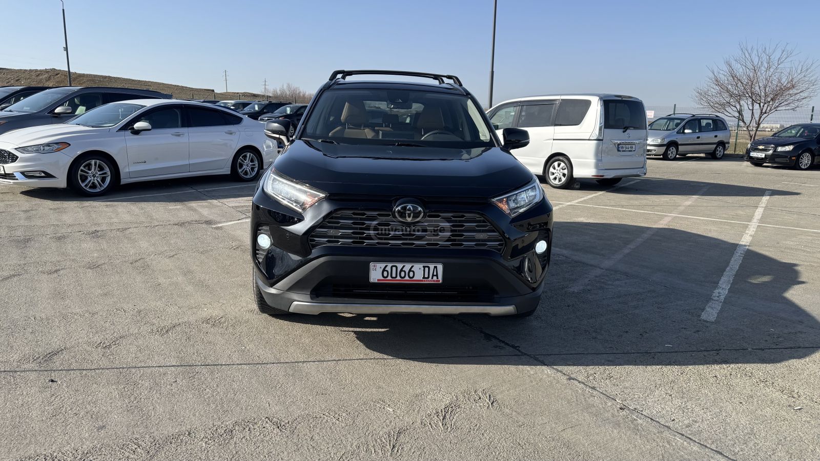 Toyota RAV4 2019 — photo 2
