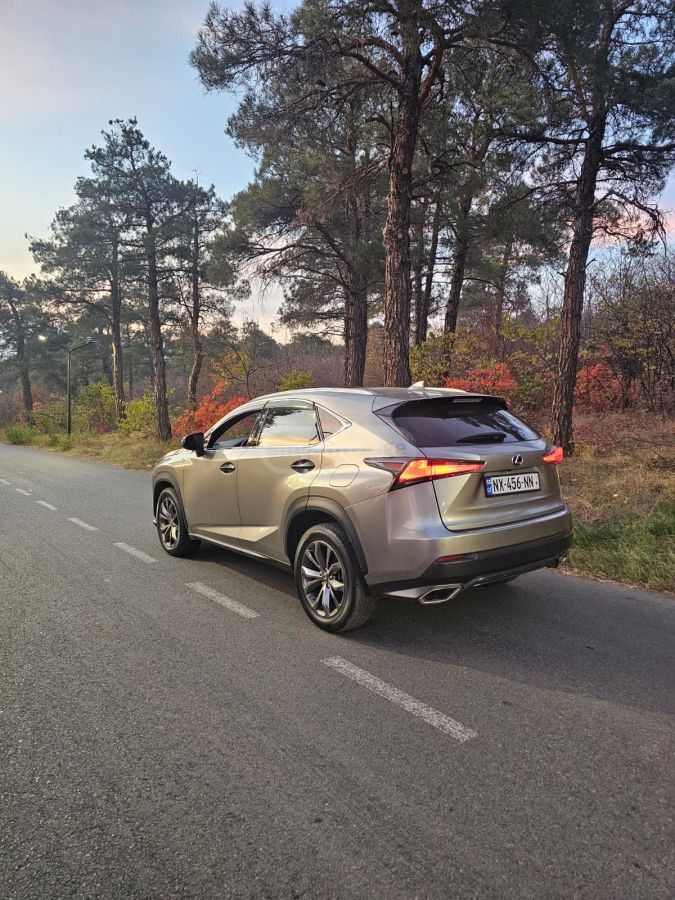 Lexus NX 300 2021 — photo 2