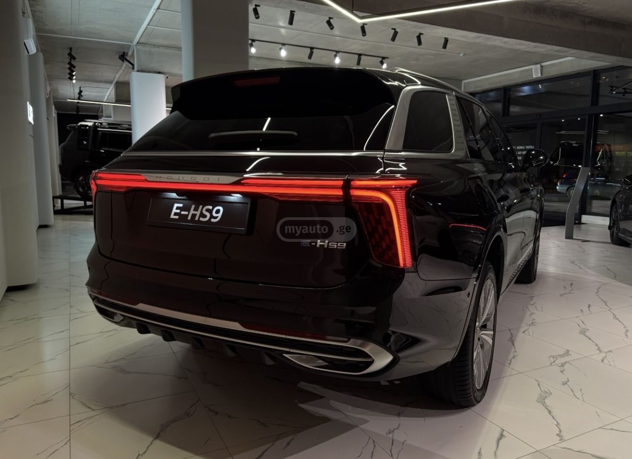 Hongqi E-HS9 2024 — photo 2