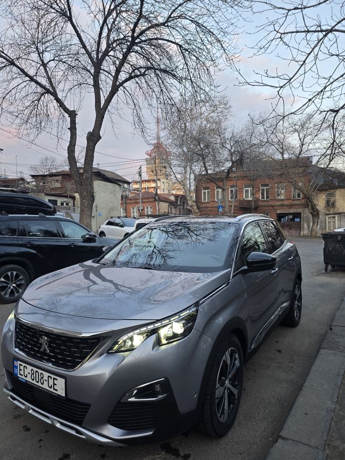 Peugeot 3008 2019 — photo 2