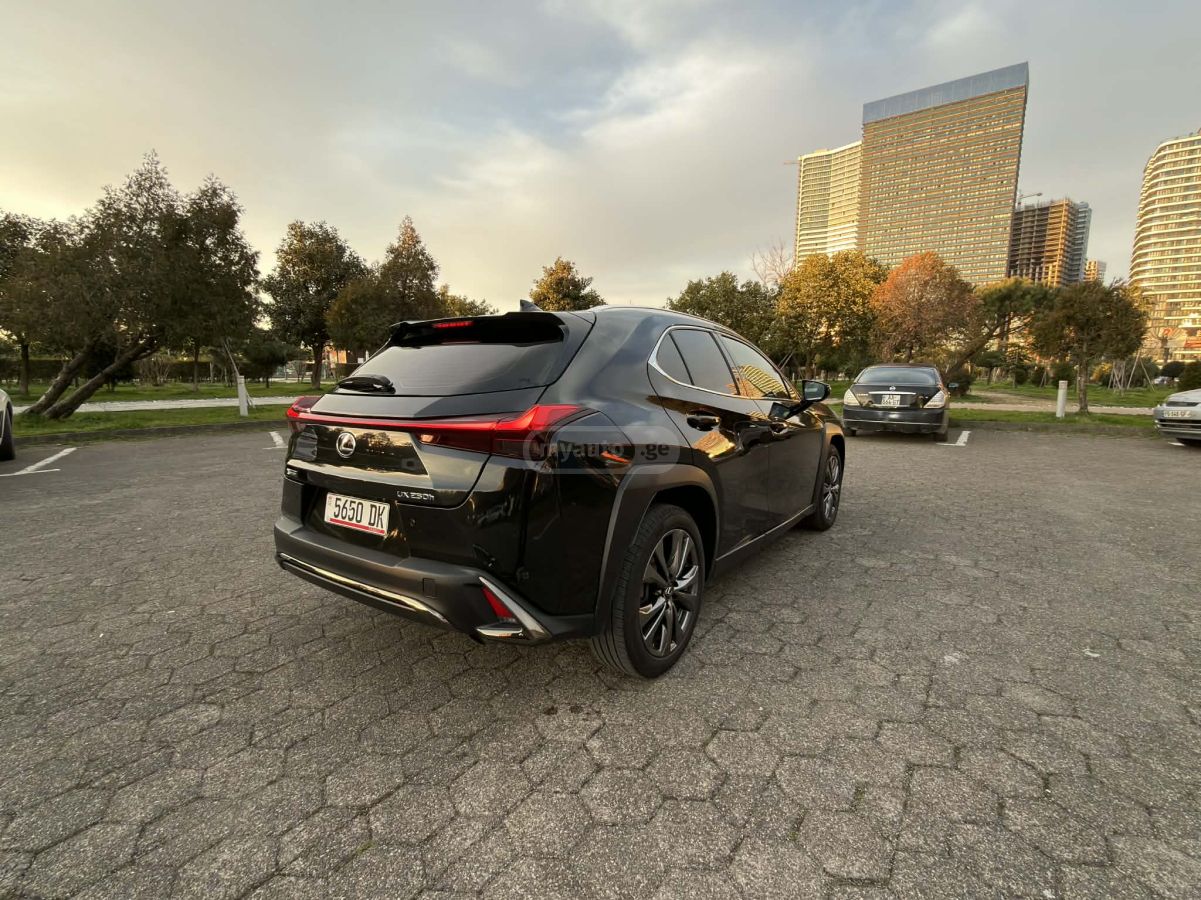 Lexus UX 250 h 2020 — photo 2
