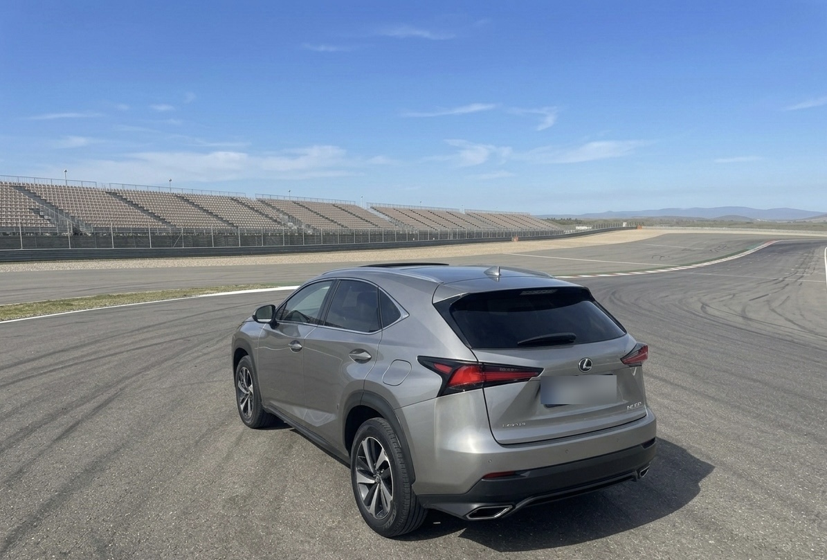 Lexus NX 300 2020 — photo 2