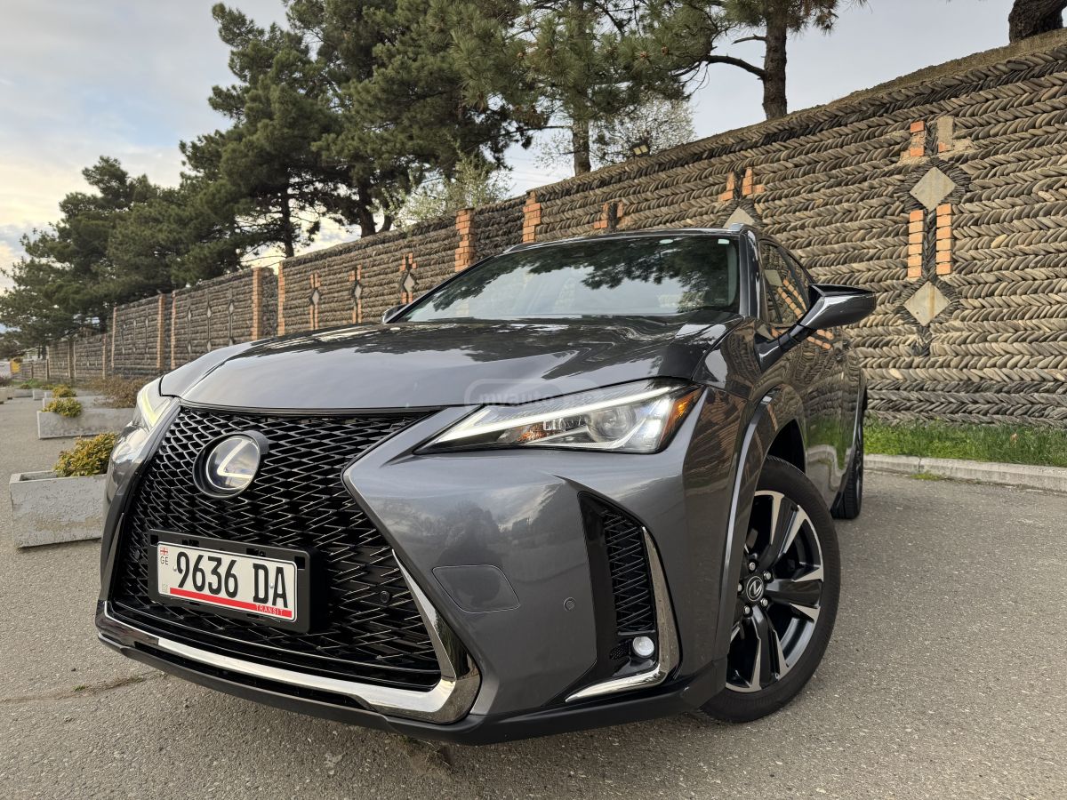 Lexus UX 250 h 2022 — photo 2