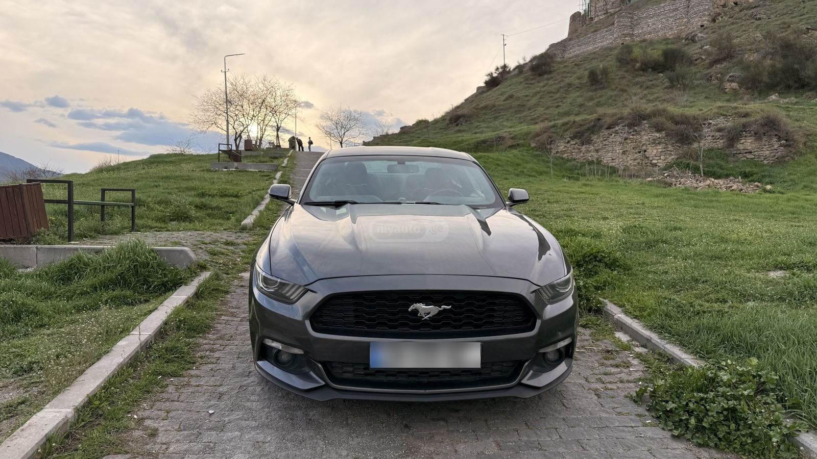 Ford Mustang 2015 — photo 2