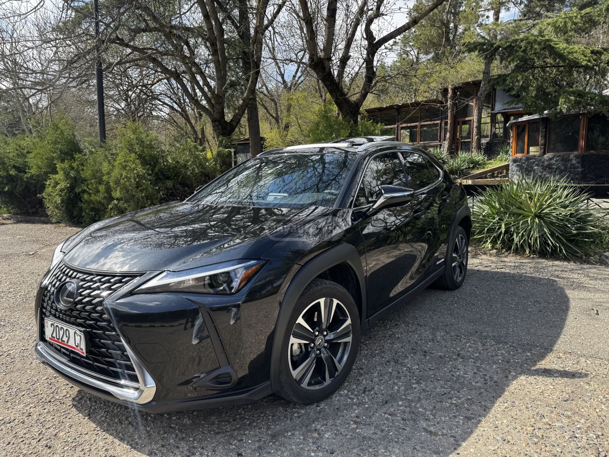 Lexus UX 250 h 2023 — photo 2