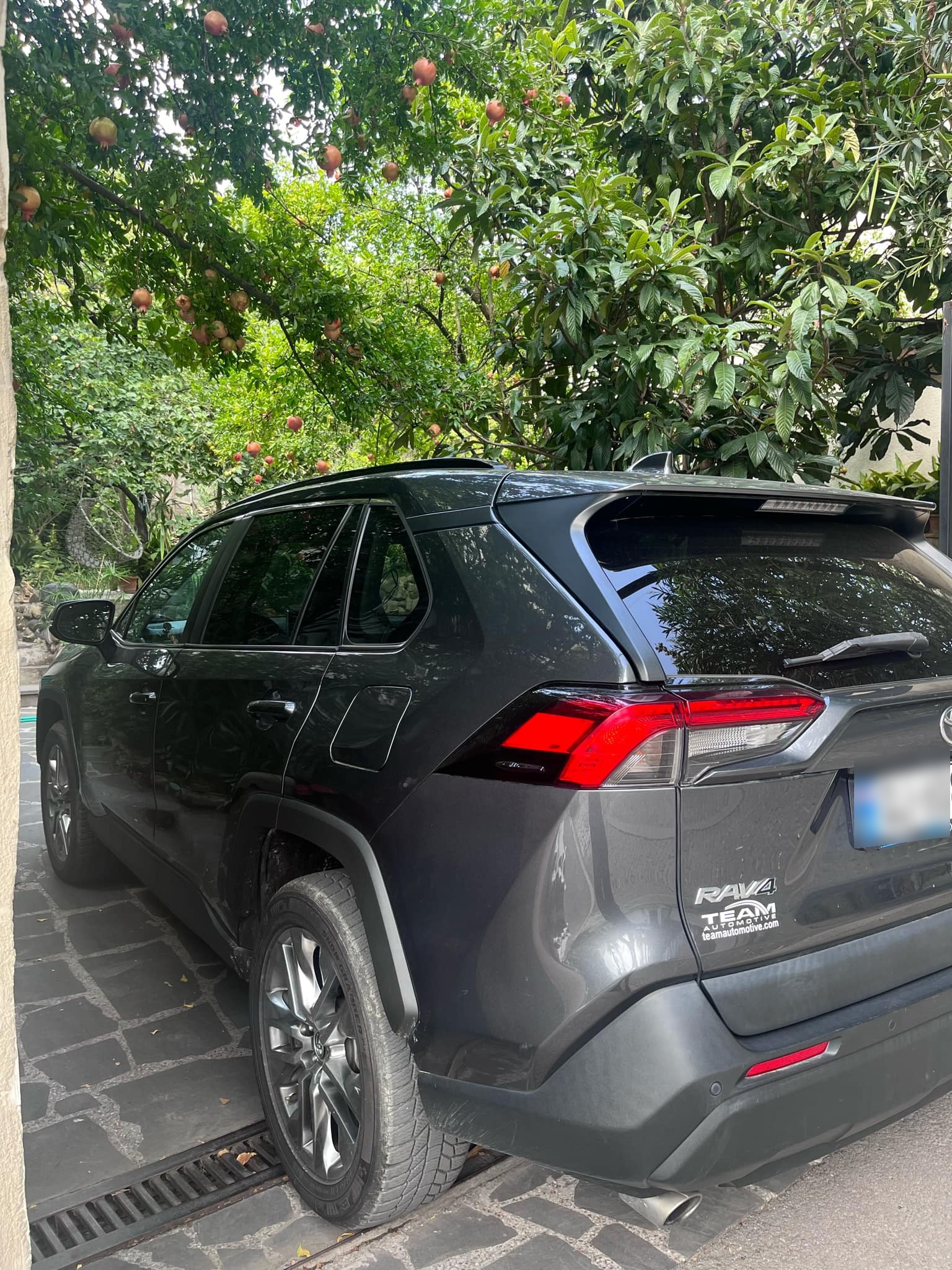 Toyota RAV 4 2020 — photo 2