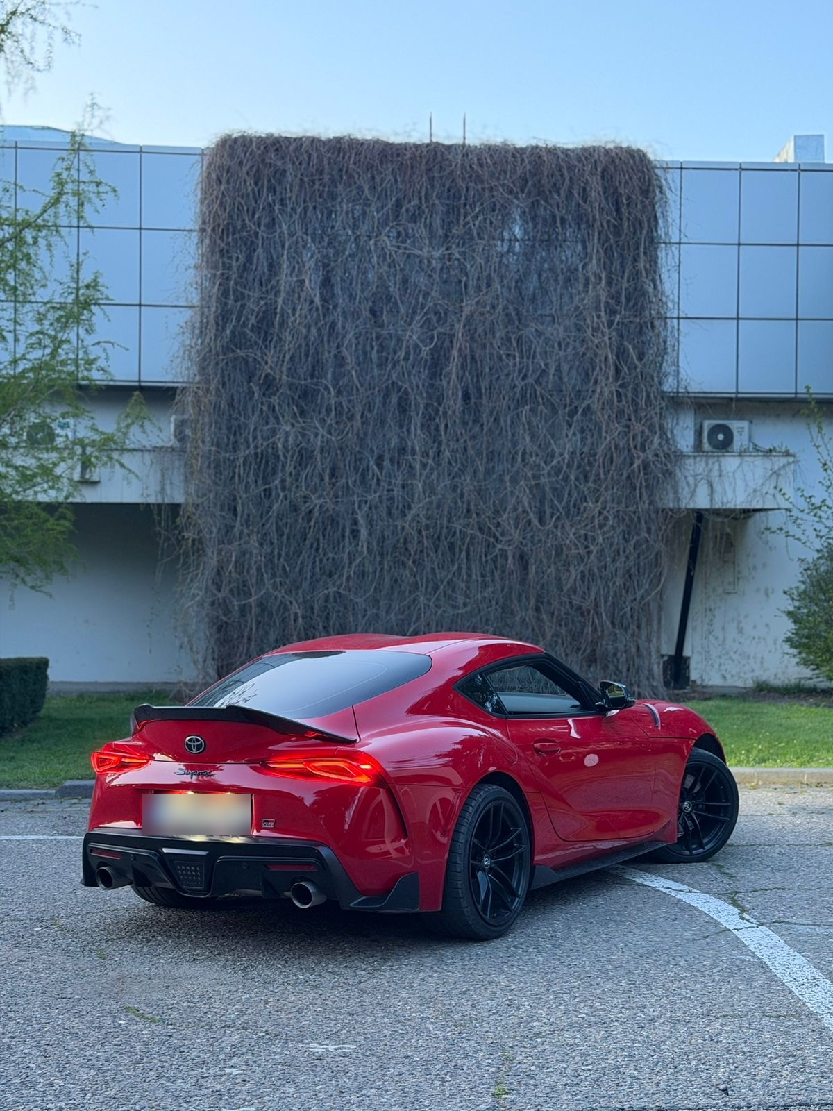Toyota Supra 2020 — photo 2