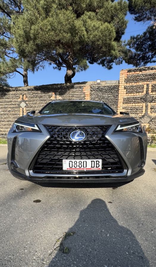 Lexus UX 250 h 2022 — photo 2