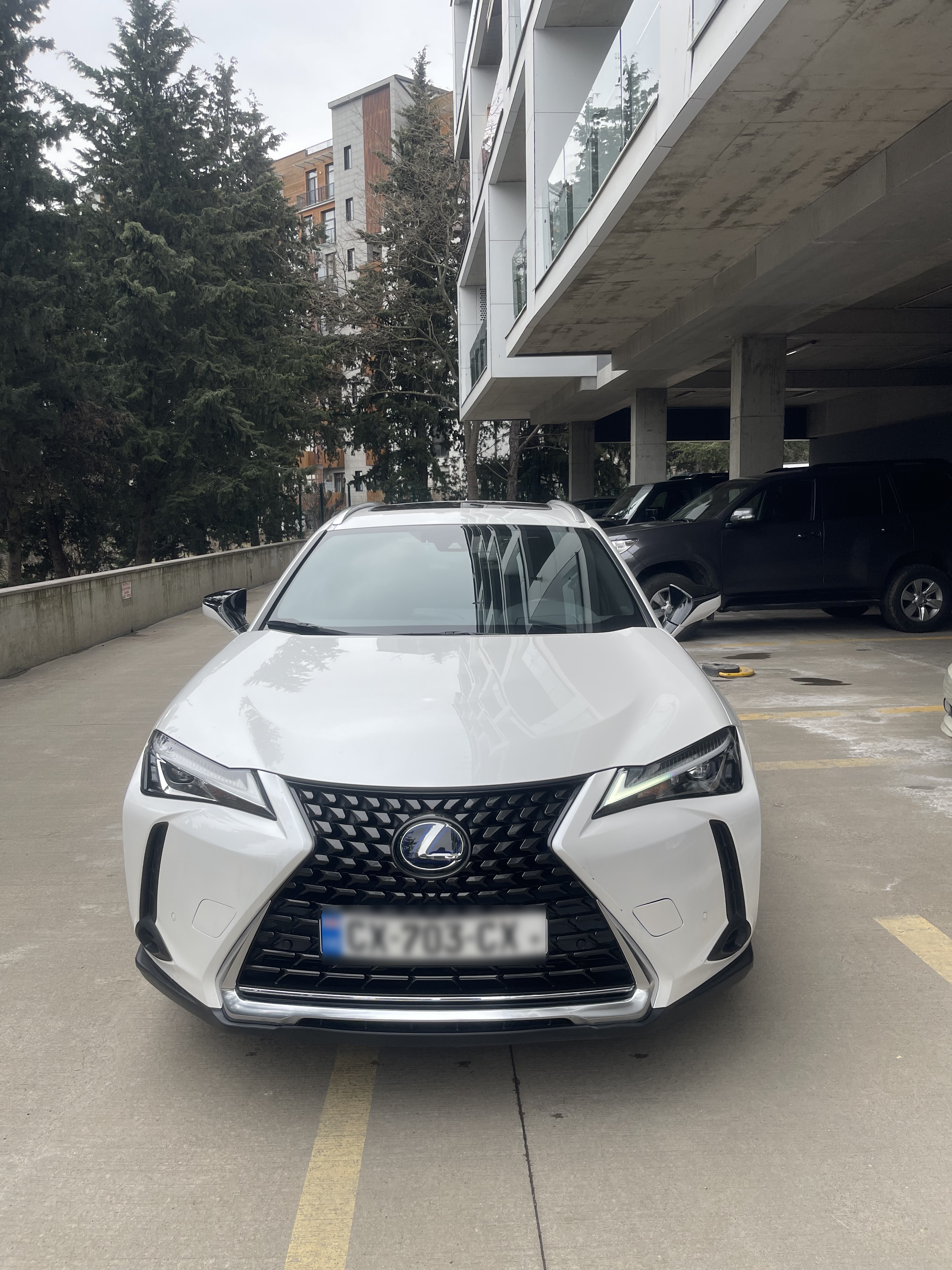 Lexus UX 250 h
