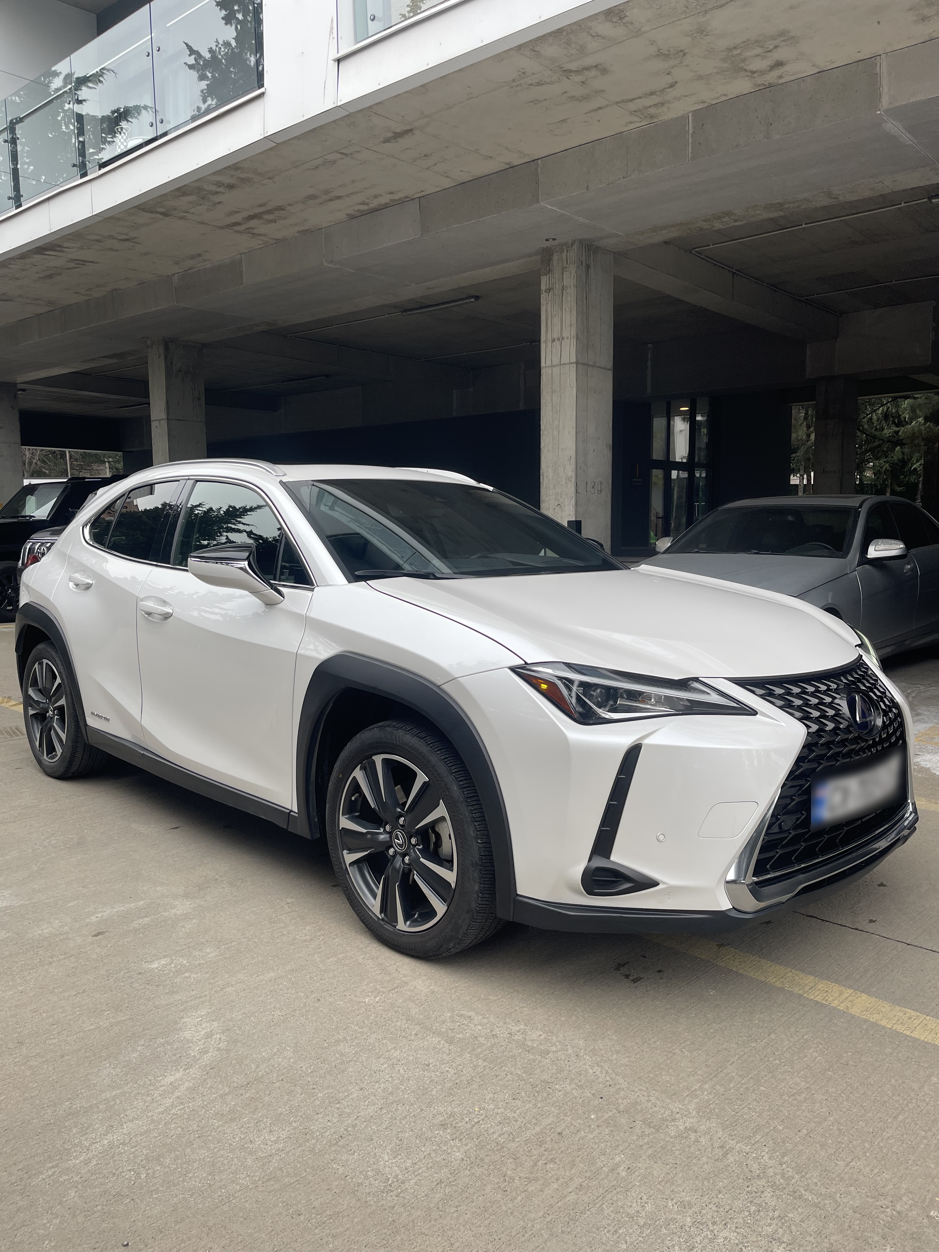 Lexus UX 250 h 2021 — photo 2