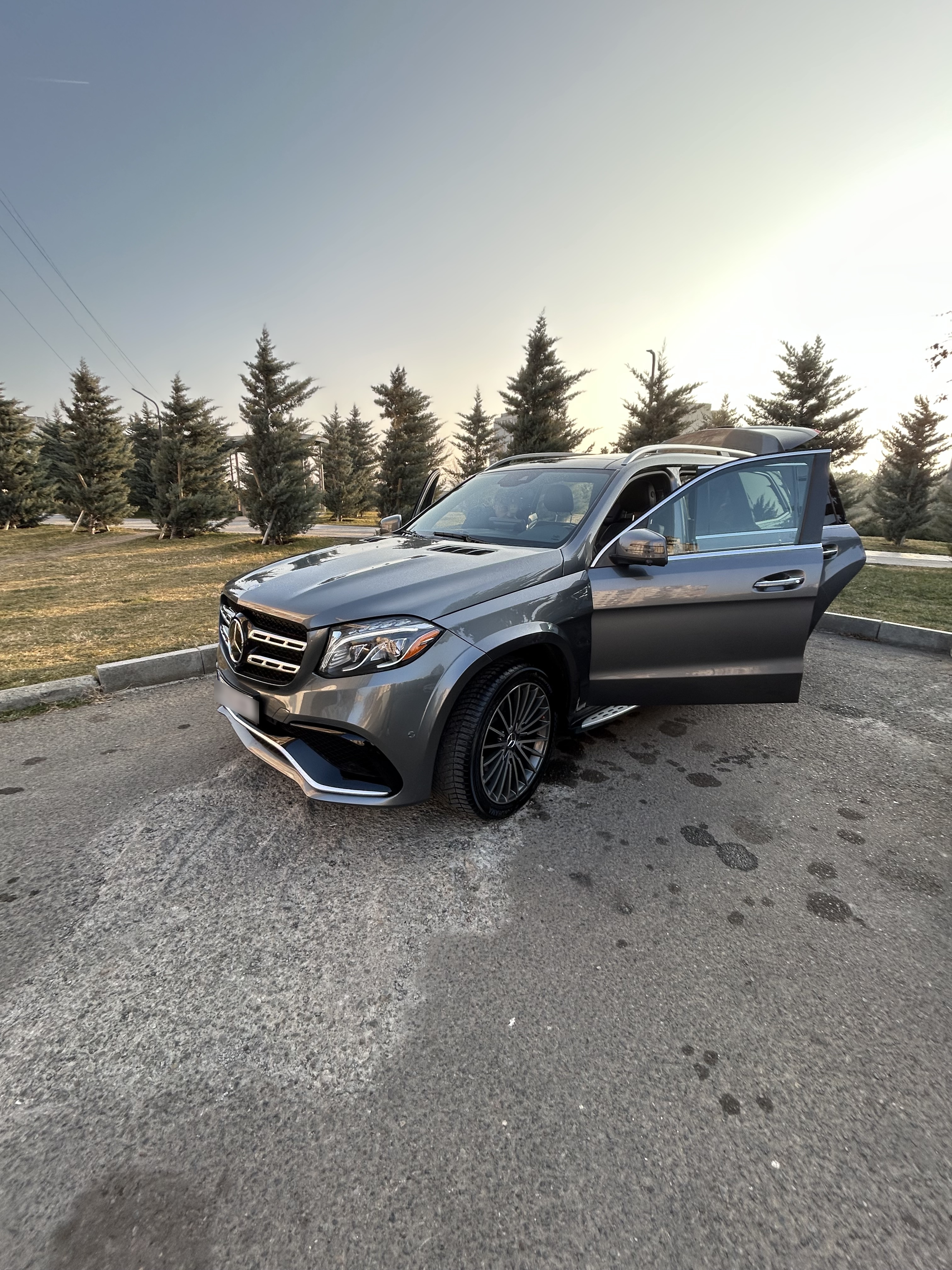 Mercedes-Benz GLS 450 2017 — photo 2