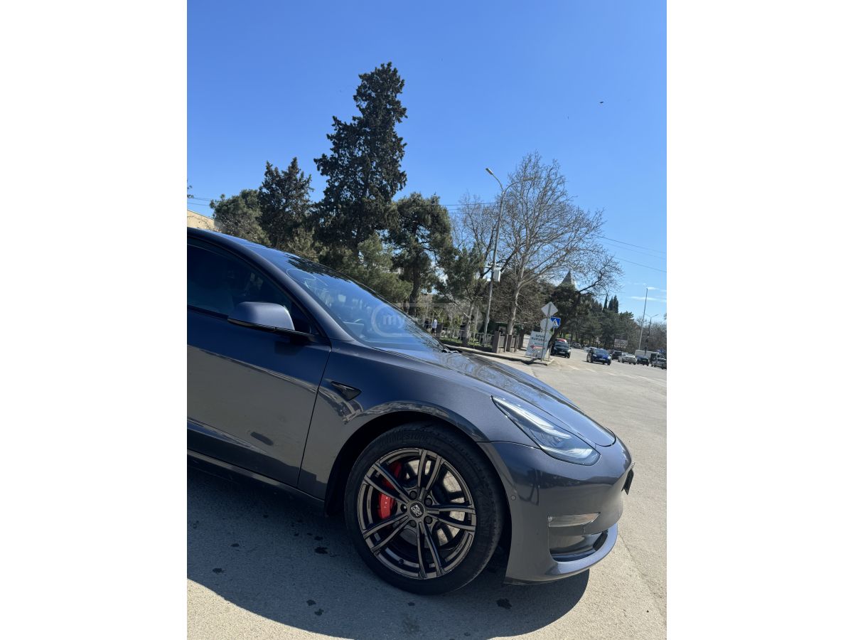Tesla Model 3 2020 — photo 2