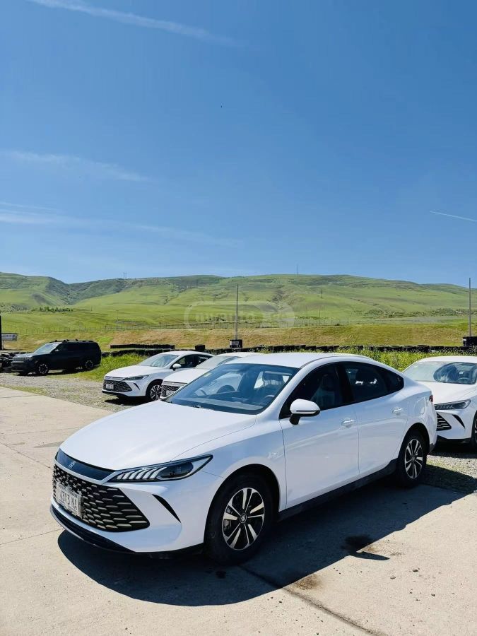 BYD Qin Plus 2025 — photo 2