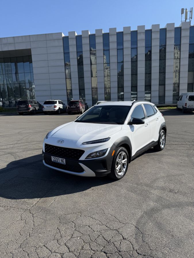 Hyundai kona