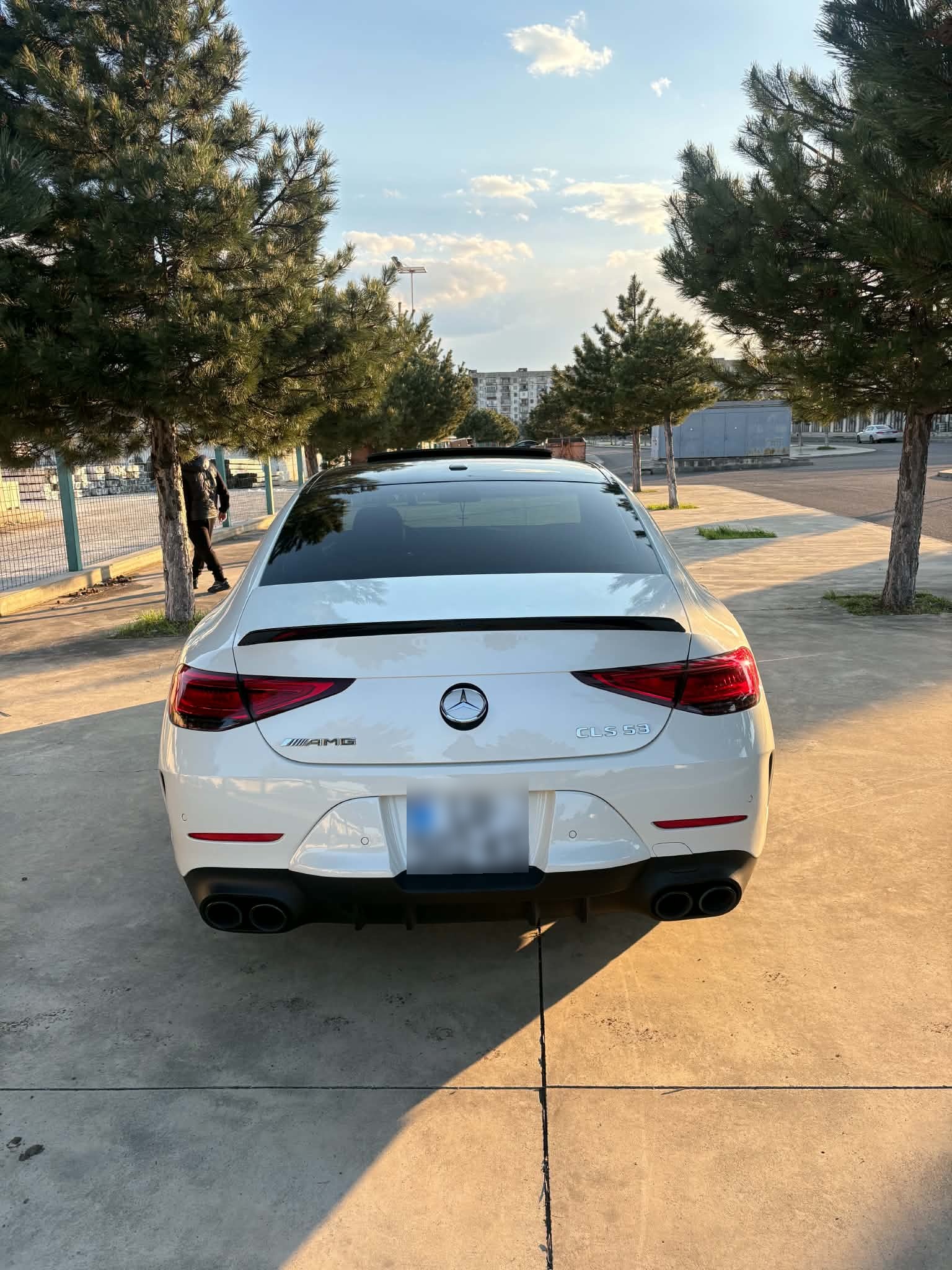 Mercedes-Benz CLS 53 AMG 2019 — photo 2