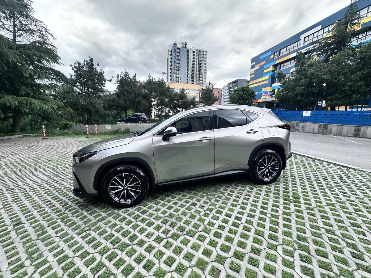 Lexus NX 250 2024 — photo 2