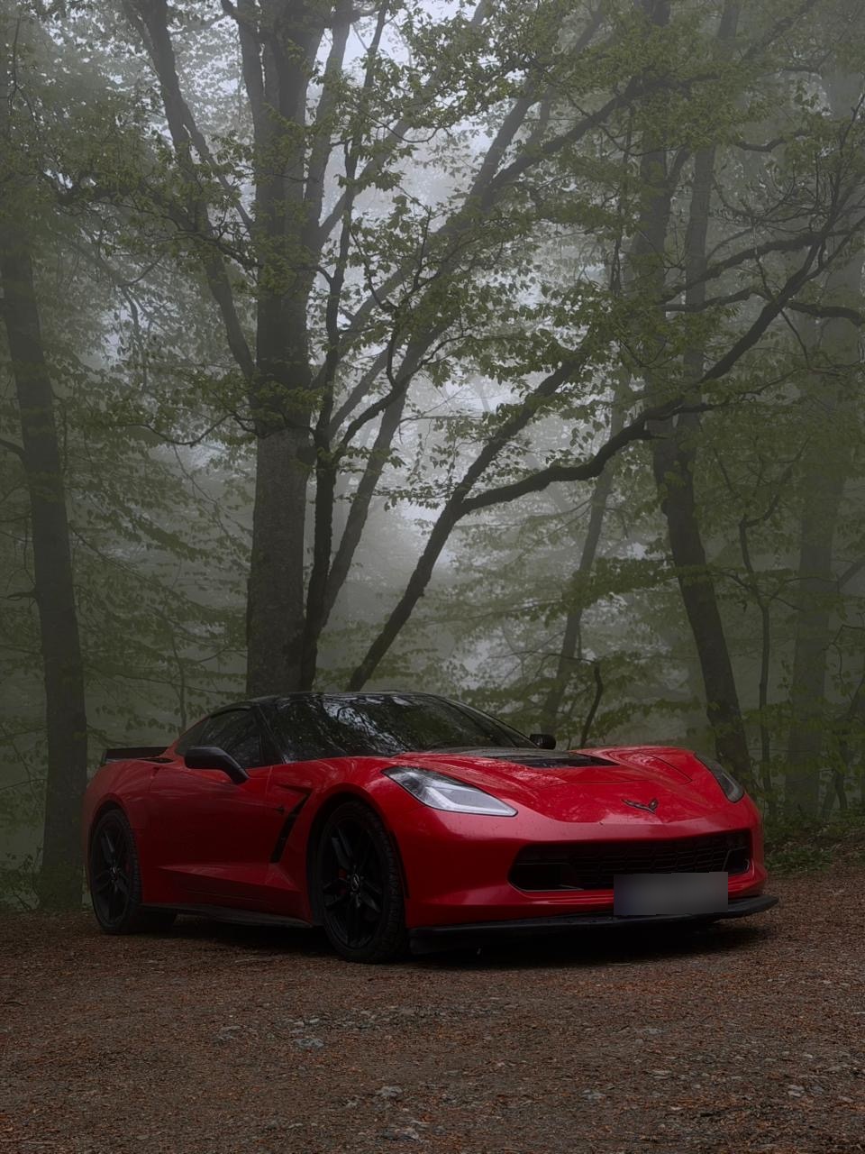 Chevrolet Corvette 2017 — photo 2