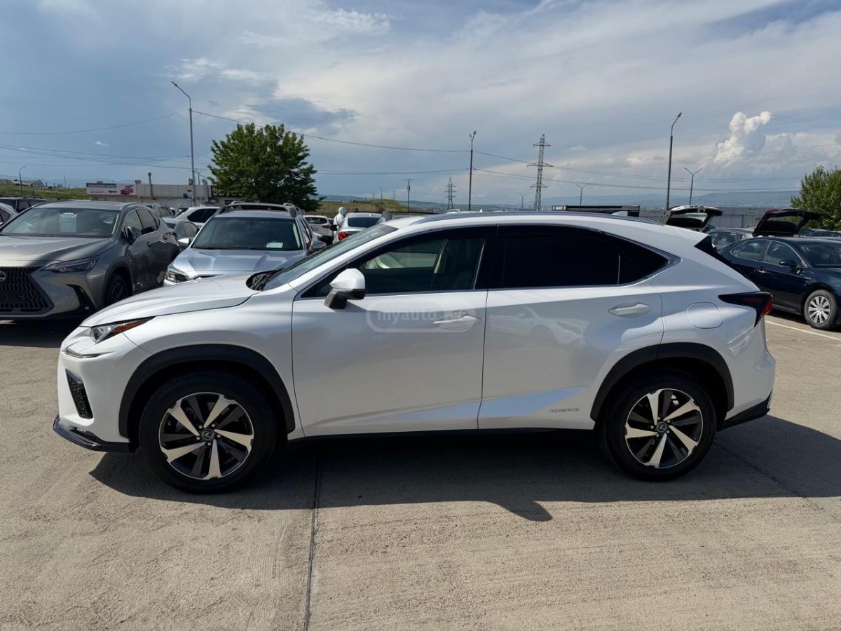 Lexus NX 300 2019 — photo 2