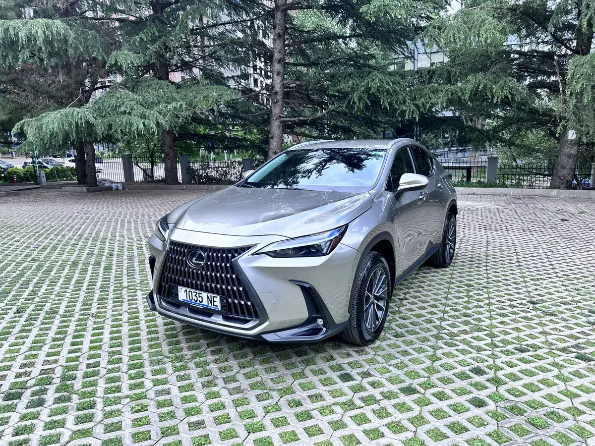 Lexus NX 250