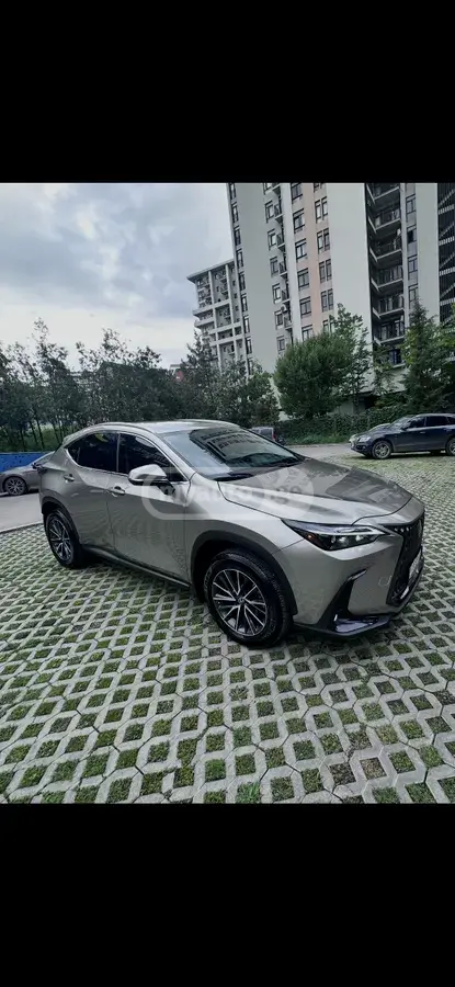 Lexus NX 250 2024 — photo 2