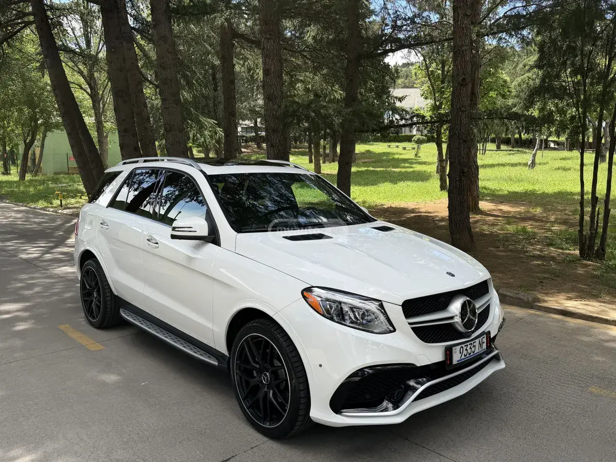 Mercedes-Benz GLE 350 2018 — photo 2