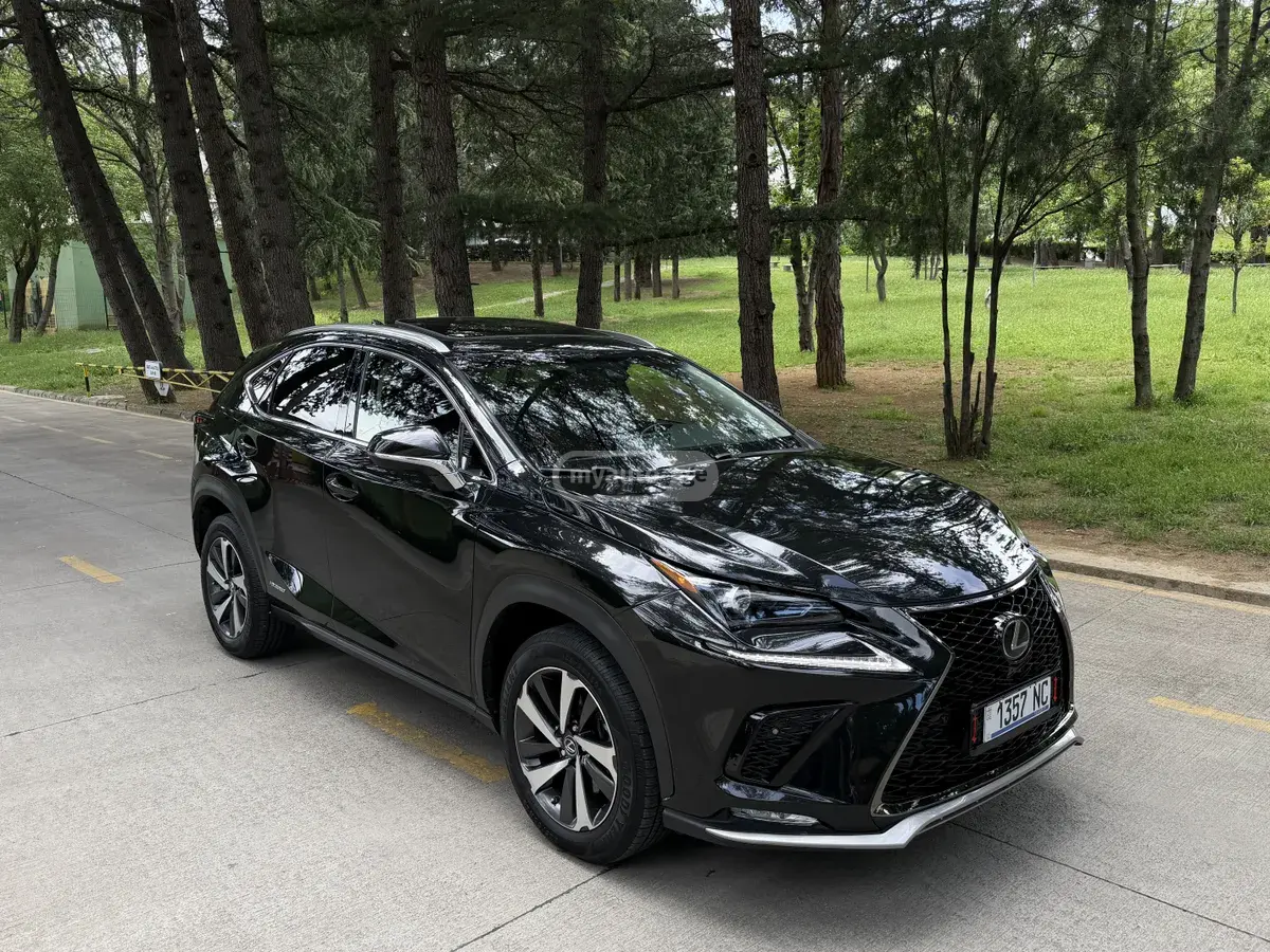 Lexus NX 300