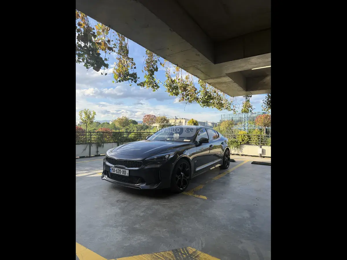 Kia Stinger 2019 — photo 2