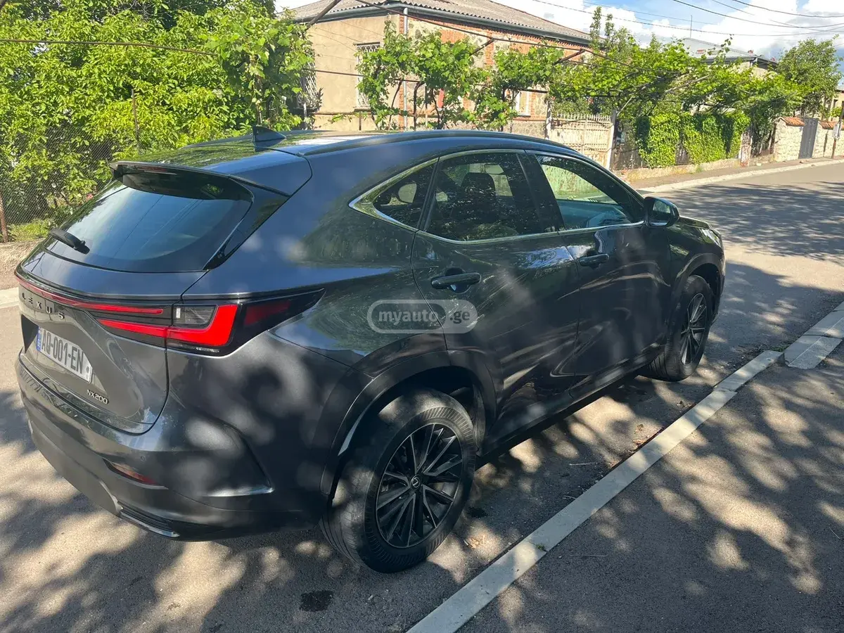 Lexus NX 200 2024 — photo 2