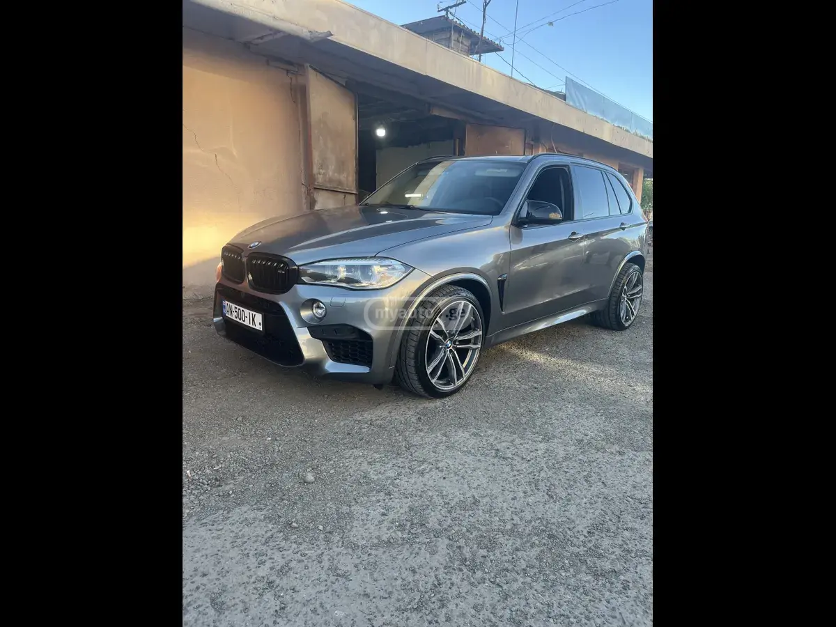 BMW X5
