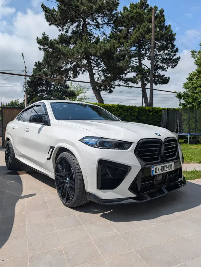 BMW X6