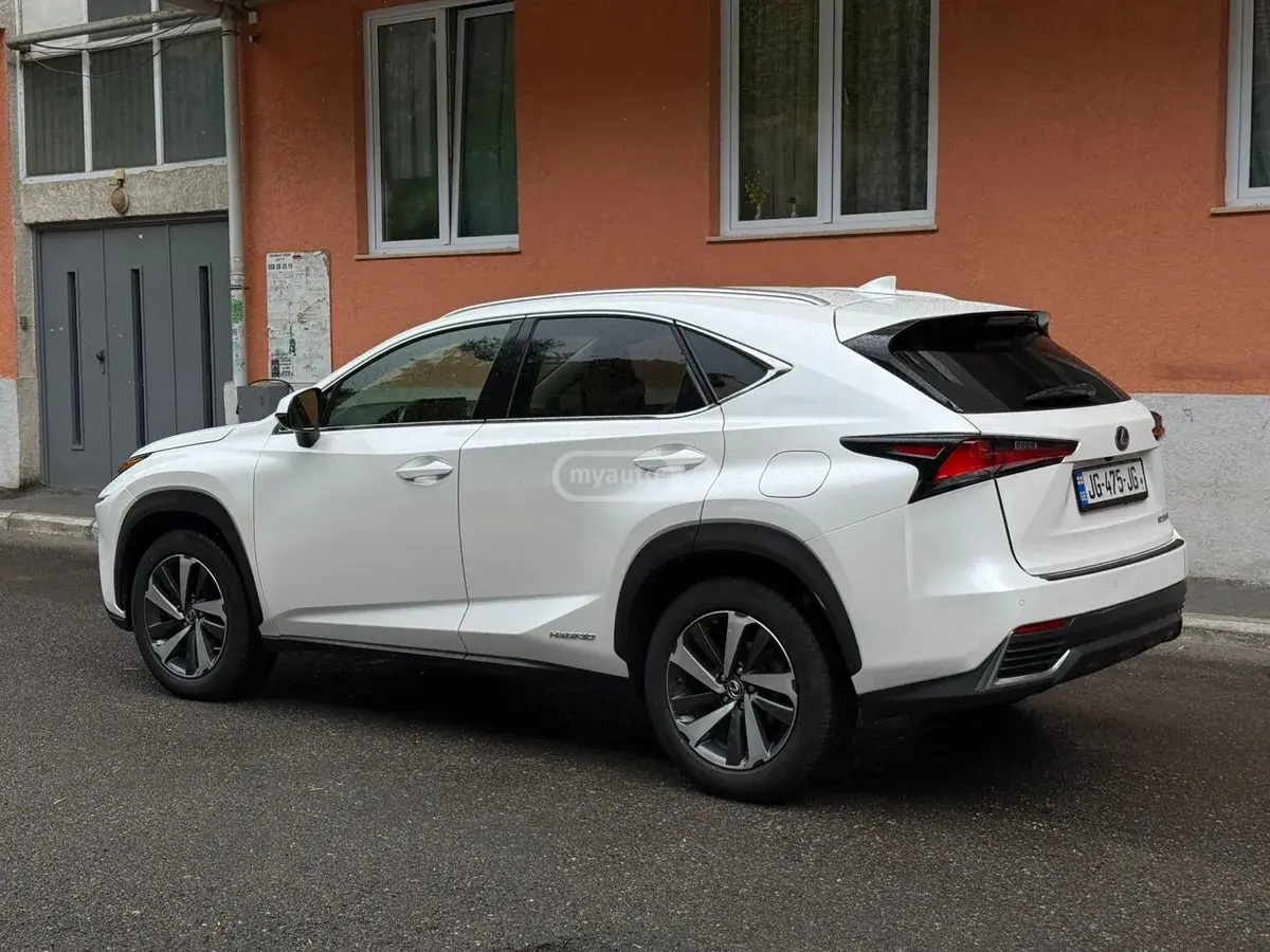 Lexus NX 300 2019 — photo 2