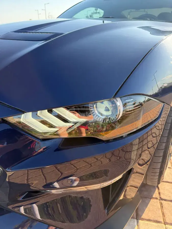 Ford Mustang 2019 — photo 2