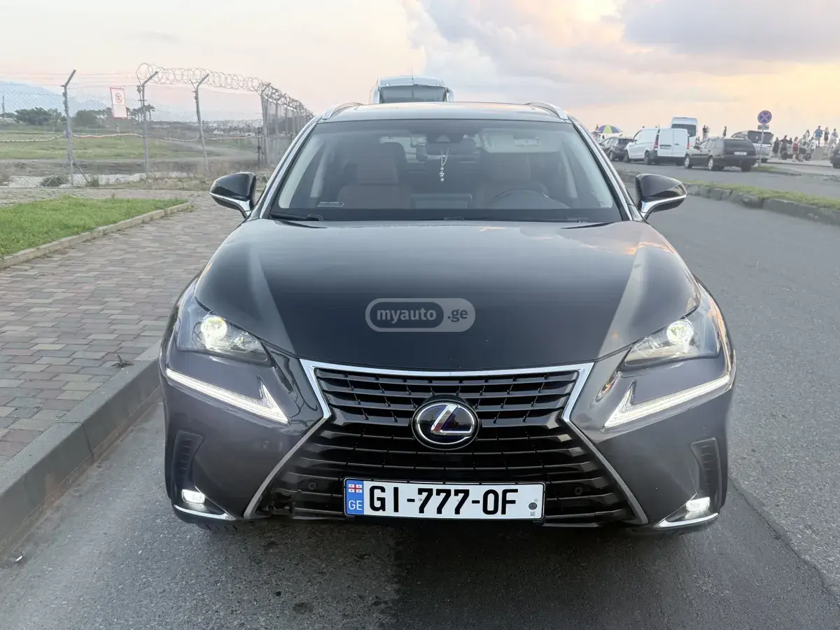 Lexus NX 300 2021 — photo 2