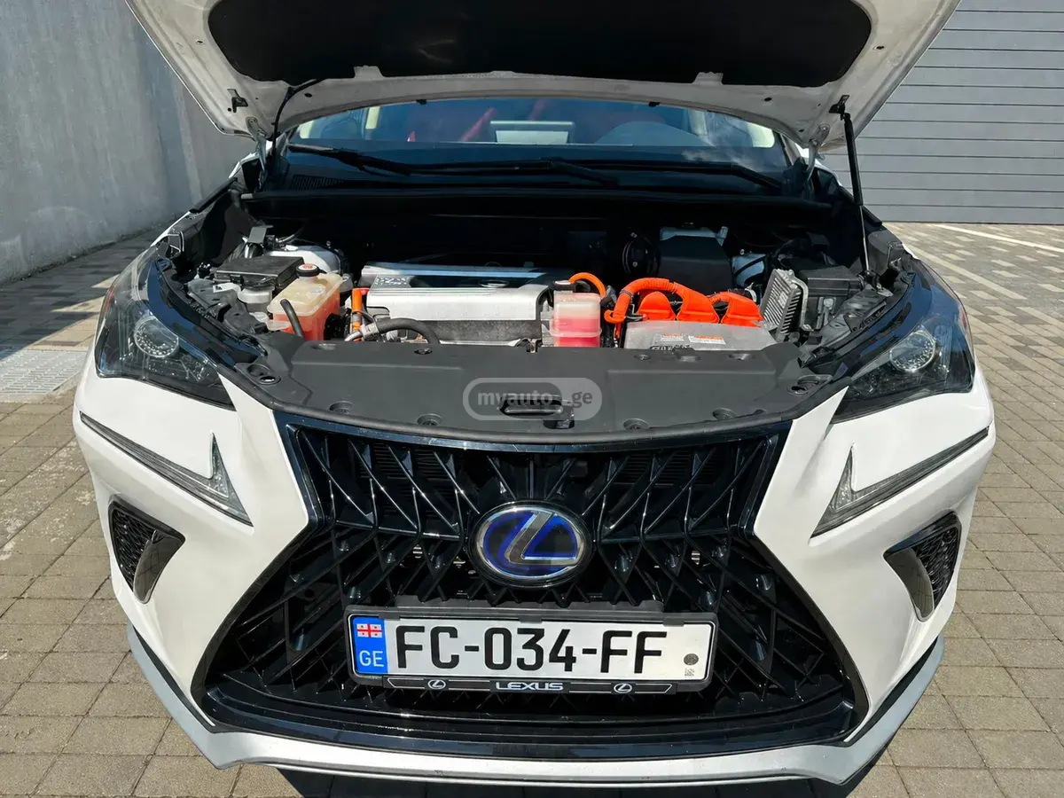Lexus NX 300 2018 — photo 2