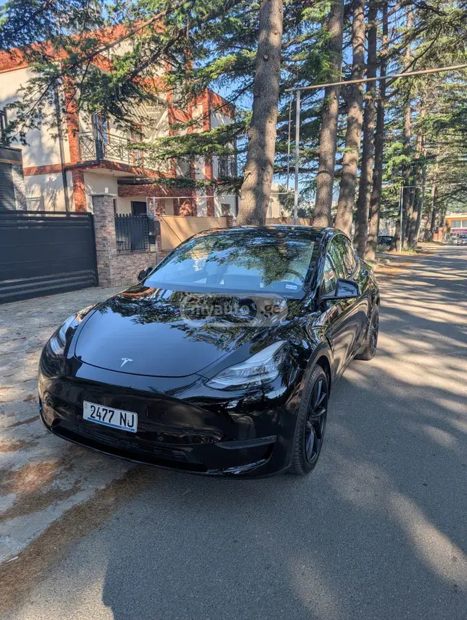 Tesla Model Y 2020 — photo 2