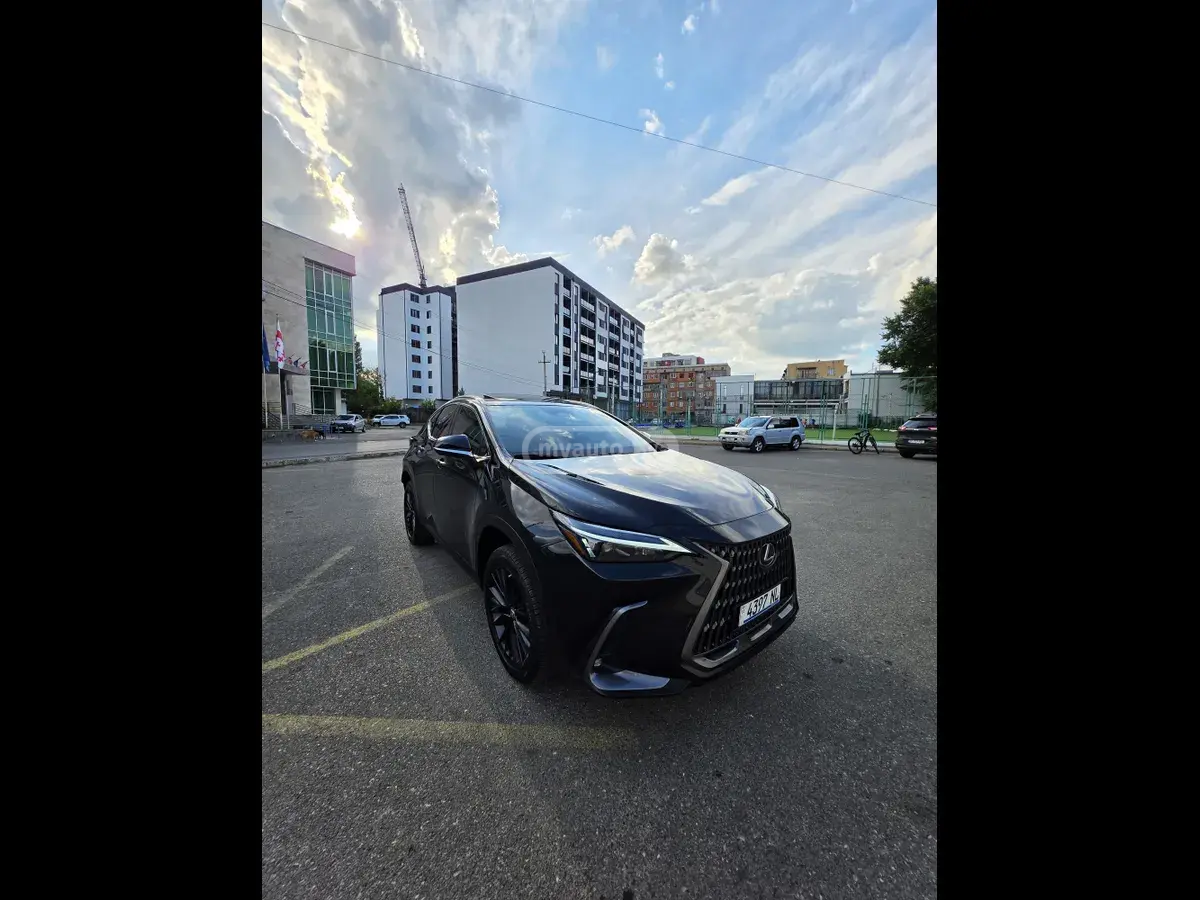 Lexus NX 350 2022 — photo 2