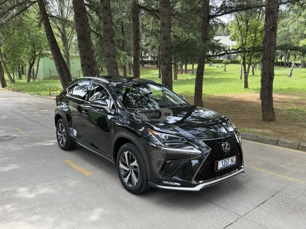 Lexus NX 300