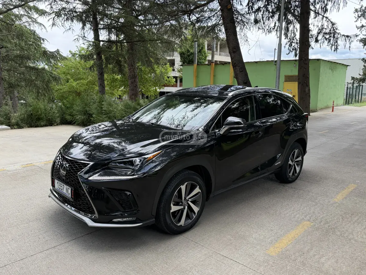 Lexus NX 300 2019 — photo 2
