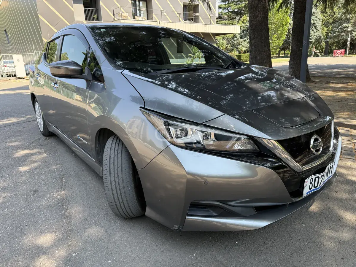 Nissan Leaf 2019 — photo 2
