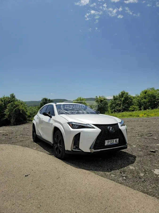 Lexus UX 250 h