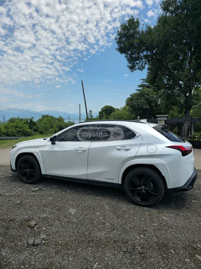 Lexus UX 250 h 2021 — photo 2