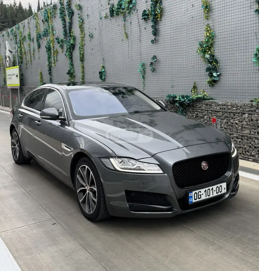 Jaguar XF 2017 — photo 2